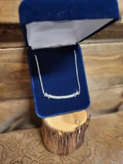 Montana Silversmith Barbedwire Bar Necklace