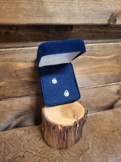 Montana Silversmith Cradled Sparkling Studs