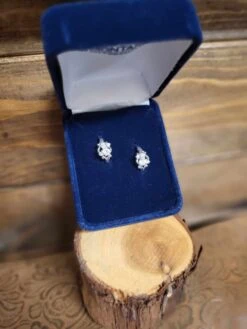 Montana Silversmith Ice Flower Earring