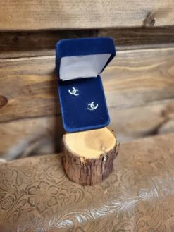 Montana Silversmith Crossed Horseshoe Studs