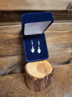 Montana Silversmith Poised Perfection Earrings