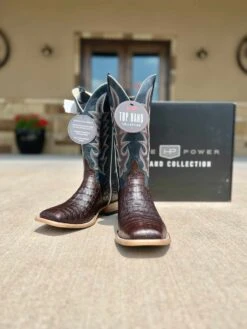 Horse Power Top Hand Brown Caiman Belly Boot