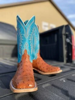 Anderson Bean Men's Brandy Mad Dog Full Quill Ostrich