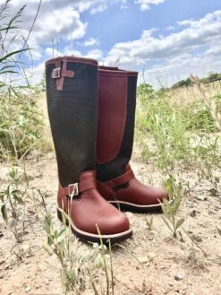 Chippewa Men's Descaro Snake Boot