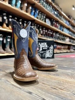 Black Jack Men's Glossy Cigar Caiman Boots